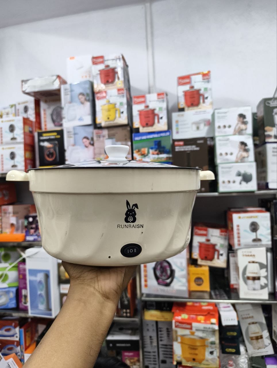 5.5L Runbaisen multi-purpose electric cooking pot
